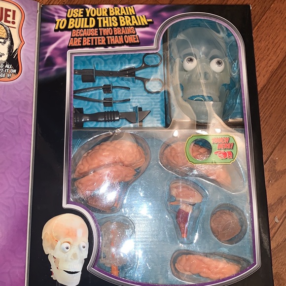 New‼️The Amazing Squishy Brain by Smart Lab - Picture 5 of 6